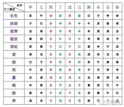 地支十神表|十神